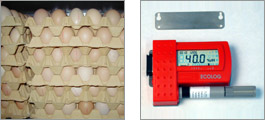 Datalogger for egg/vegetable storage