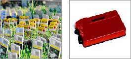 Datalogger for ground temperature