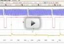 http://www.picoauto.com/video/picoscope-6.html PicoScope 6 video